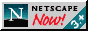 Download Netscape Now!